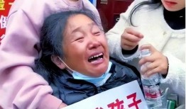 胡鑫宇案最新爆料,揭秘校园悲剧背后的惊人真相